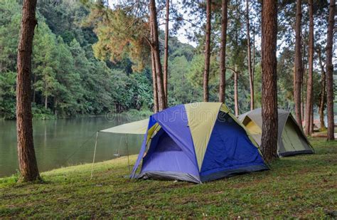 Forest Camping Tents Near Lake Stock Photo Image Of Campsite