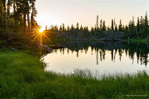 I Heart Pacific Northwest