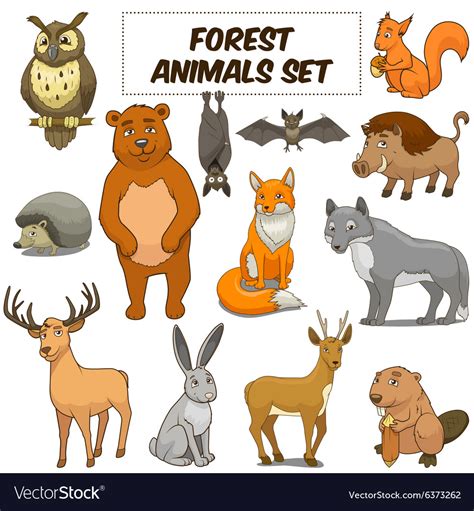 Cartoon Forest Animals Set Royalty Free Vector Image