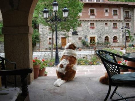 Enjoy a day and night at warner madrid. Restaurante hotel el Oso (Cosgaya - Cantabria)
