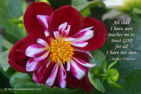 Most beautiful quotes about flowers. Beautiful Flower Quotes. QuotesGram