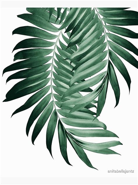 Palm Leaves Tropical Green Vibes 4 Tropical Decor Art Canvas Print