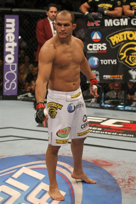 Junior Dos Santos Vs Stipe Miocic Headlines UFC On FOX UFC UFC