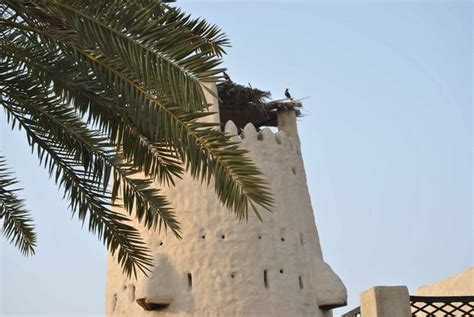 uaq national museum أم القيوين working hours activities visitor reviews safarway 2022