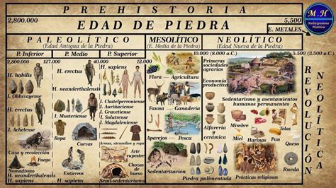 Infografía De La Edad De Piedra Ayuda Doy Coronita Brainlylat