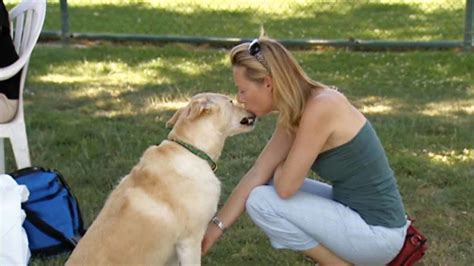 Why Do Dogs Love Humans Answer May Be Oxytocin Hormone Abc7 Los