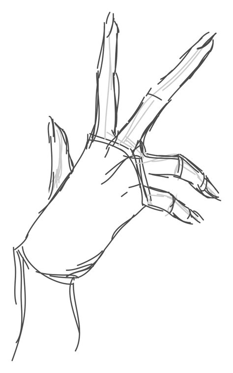 Skeleton sketch your basic structure outline. How to draw a woman's hand. Sketching. Step by step | Art ...
