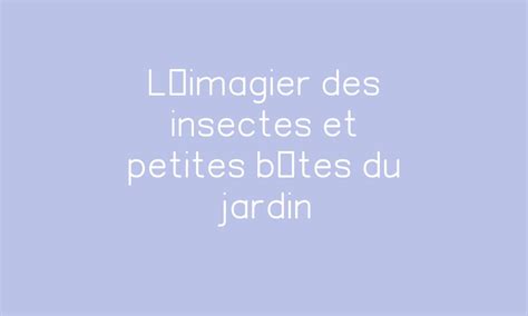 Limagier Des Insectes Et Petites Bêtes Du Jardin Par Dessine Moi Une