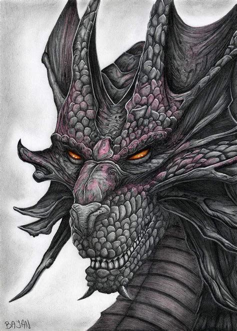 Realistic Dragon Drawings In Color