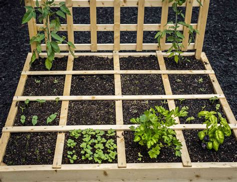 Raised Square Foot Garden