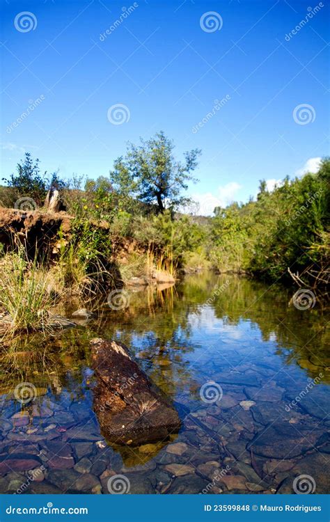Forest River Stock Photo Image Of Rock Environment 23599848