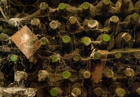 Premium Photo A Wine Cellar With Bottles