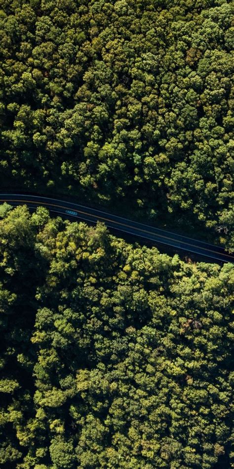 Aerial View Forest Green Trees Highway 1080x2160 Wallpaper Tree