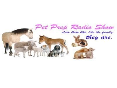 Pet scan helps in the diagnosis of conditions like cancer, heart disease and brain disorders. Pet Prep Radio 06/28 by Preparedness Radio Network | Pets
