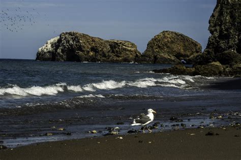 Beach Of Santa Cruz Island Channel Islands National Park California