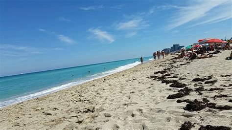 april 21 2014 a stroll along haulover beach osseous flickr