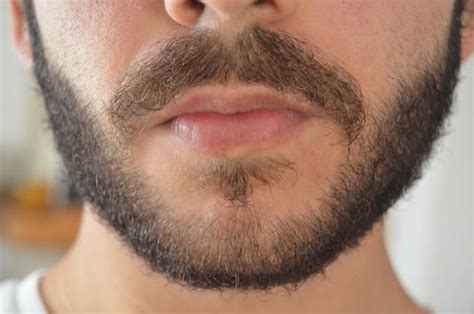 On wikipedia, it says that most 11 year olds have an ipad. Photo 12: Beard on a 19 year old teenager. Real and ...