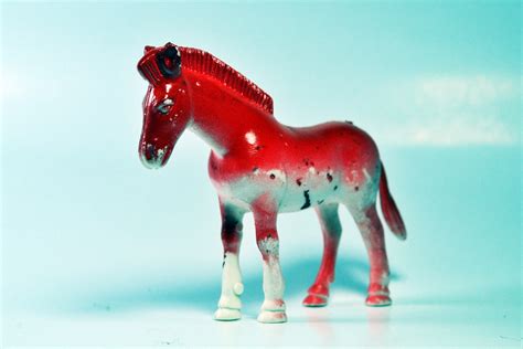 Gambar Hewan Kuda Jantan Mainan Kuda Betina Warna Merah Kuda