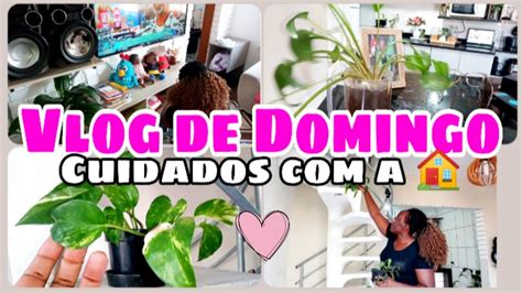 Vlog Meu Domingo Limpando A Casa Christheodoroo Youtube