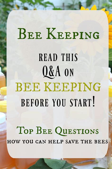 Bee Keeping Must Read Before Getting Bees Nesting With Grace Bee