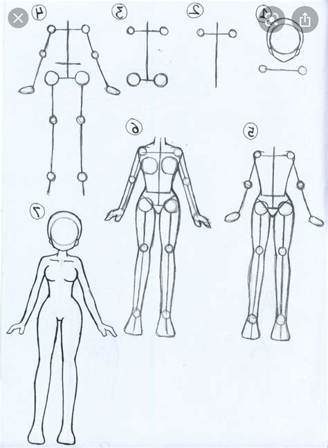 anime body style comparison by yumezaka drawing anime bodies drawing images and photos finder