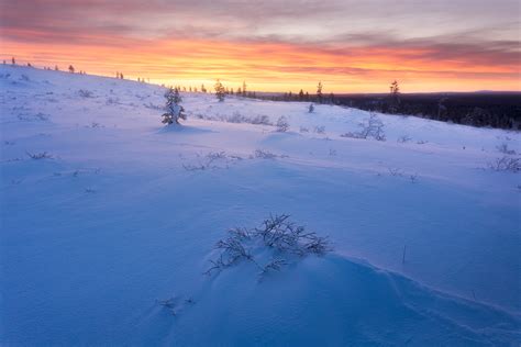 Rare But Beautiful Winter Daylight In Lapland Finland Naturally