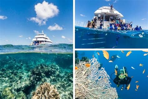 Best Great Barrier Reef Tours From Cairns Tourscanner