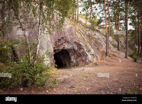 Landscape With Cave And Forest Scenic Entrance To Cave Rock Wall With