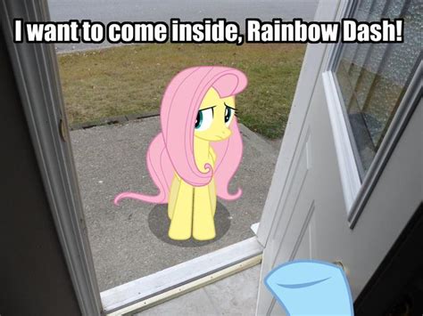 [image 472116] i want to cum inside rainbow dash know your meme