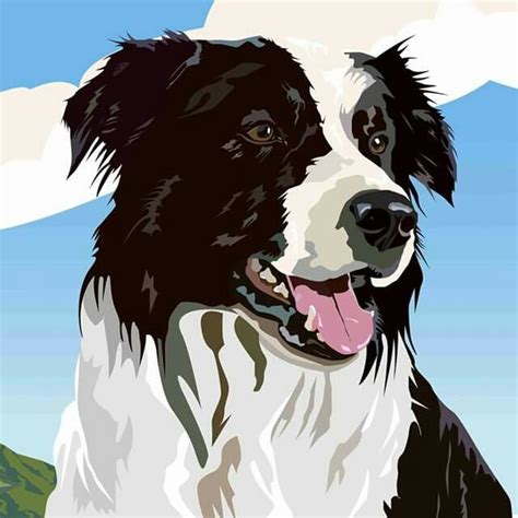 Border Collie Border Collie Art Watercolor Dog Dog Drawing