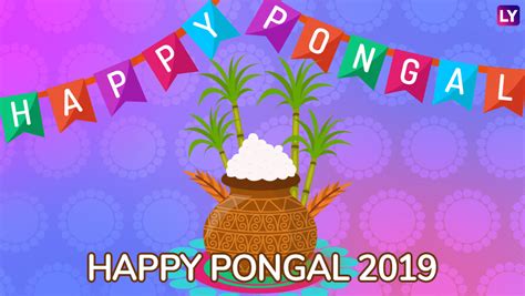 The word pongal means 'overflow' or 'boiling over' and also signifies the gradual heating of the earth by the sun. Happy Pongal 2019 Greetings: Best WhatsApp & Hike Stickers ...
