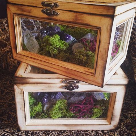 Terrarium Box Crystal Garden Wood And Glass Terrarium Air Planter Box