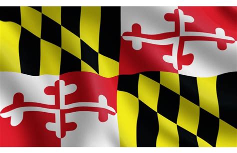The Flag Of The State Of Maryland Is Waving In The Wind With Black