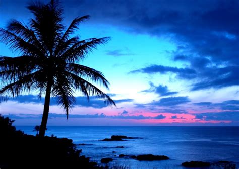 Tropical Sunset Wallpaper Zoom Wallpapers