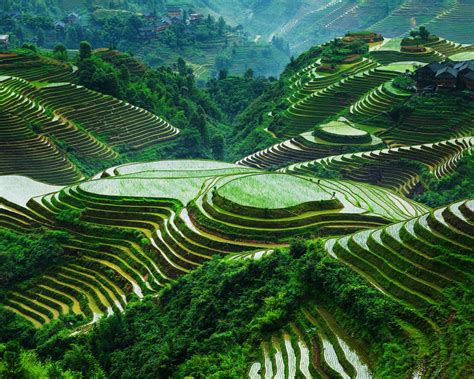 Wallpaper Guangxi Longsheng Rice Terraces Beautiful Landscape China