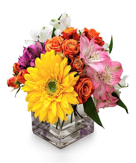 Good health is considered to be an absolute treasure of the contemporary society. Administrative Assistant Day - Avas Flowers
