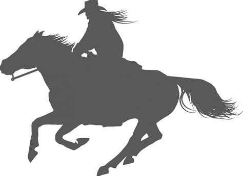 Equestrian American Quarter Horse Stallion English Riding Dressage