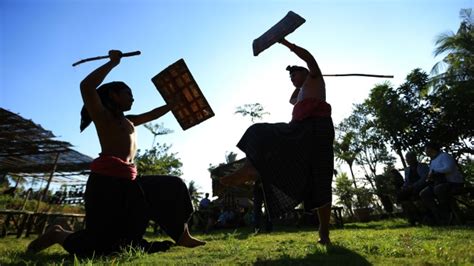 Peresean Tradisi Unik Pertarungan Gladiator Ala Suku Sasak Lombok