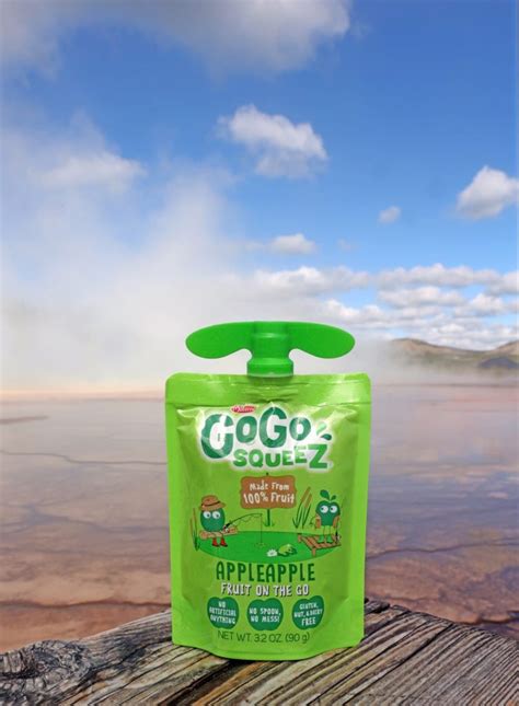 Gogo Explore Contest Win A Vacation To A National Park Of Your Choice Vegworld Magazine