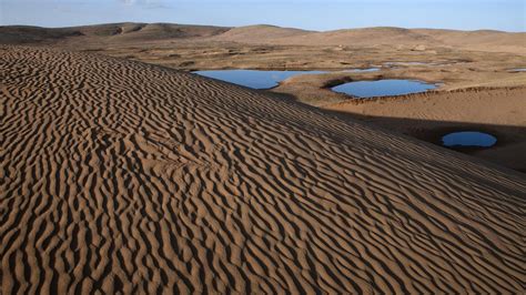 Desertification Facts And Information