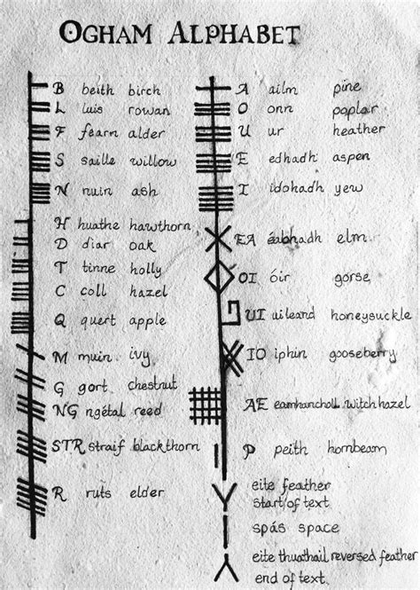 A Short Introduction To Celtic Druid Ogham Or Ogma Alphabet And How To