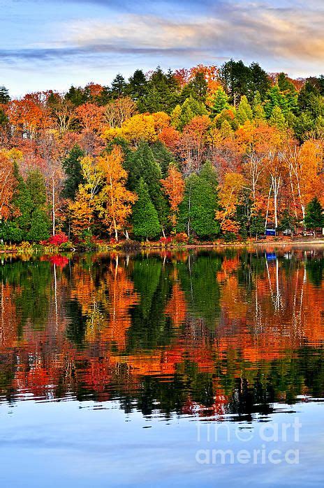 Forest Of Colorful Autumn Trees Reflecting In Calm Lake Algonquin Park