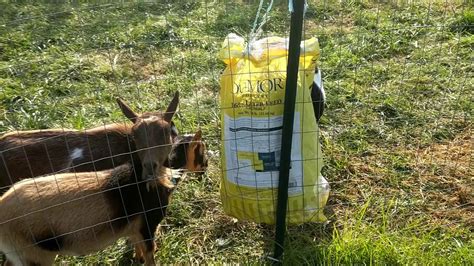 Diy Goat Hay Feeder From Recycled Feed Bags Youtube