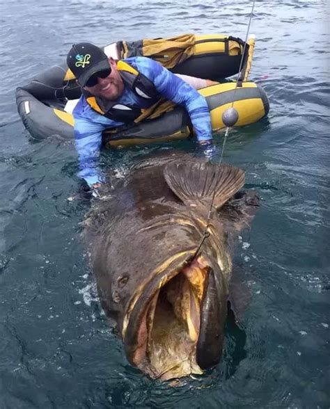 Amazing Moment Man Reels In Giant Catch After Going Fishing In A Rubber