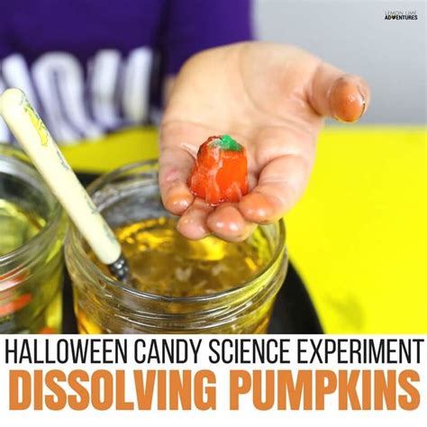 Dissolving Candy Pumpkins Super Fun Halloween Science For Kids