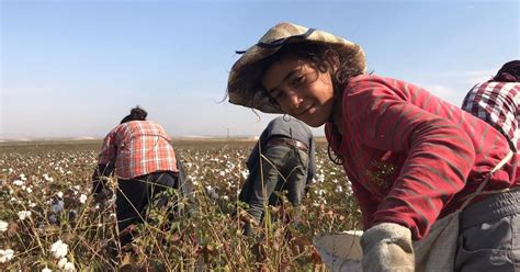 Türkei: Kinderarbeit geduldet - Weltspiegel - ARD | Das Erste
