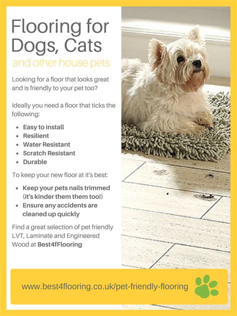Between accidental scratching and frequent shedding, pets can leave flooring looking worse for wear. When properly installed and maintained, LVT, some ...