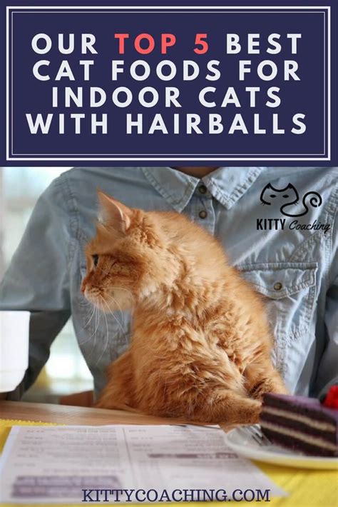 Our Top 5 Best Cat Foods For Indoor Cats With Hairballs 2018
