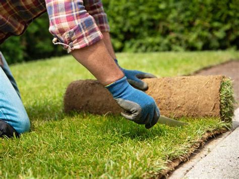 With the help of a few friends, you can get. When is the Best Time to Lay Sod?