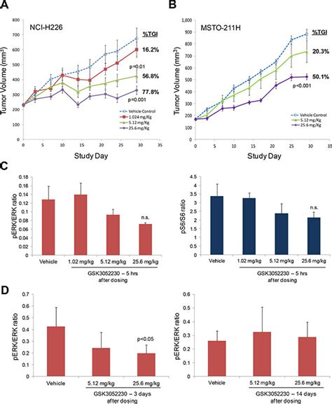 Maybe you would like to learn more about one of these? Inhibition of FGF/FGFR autocrine signaling in mesothelioma ...